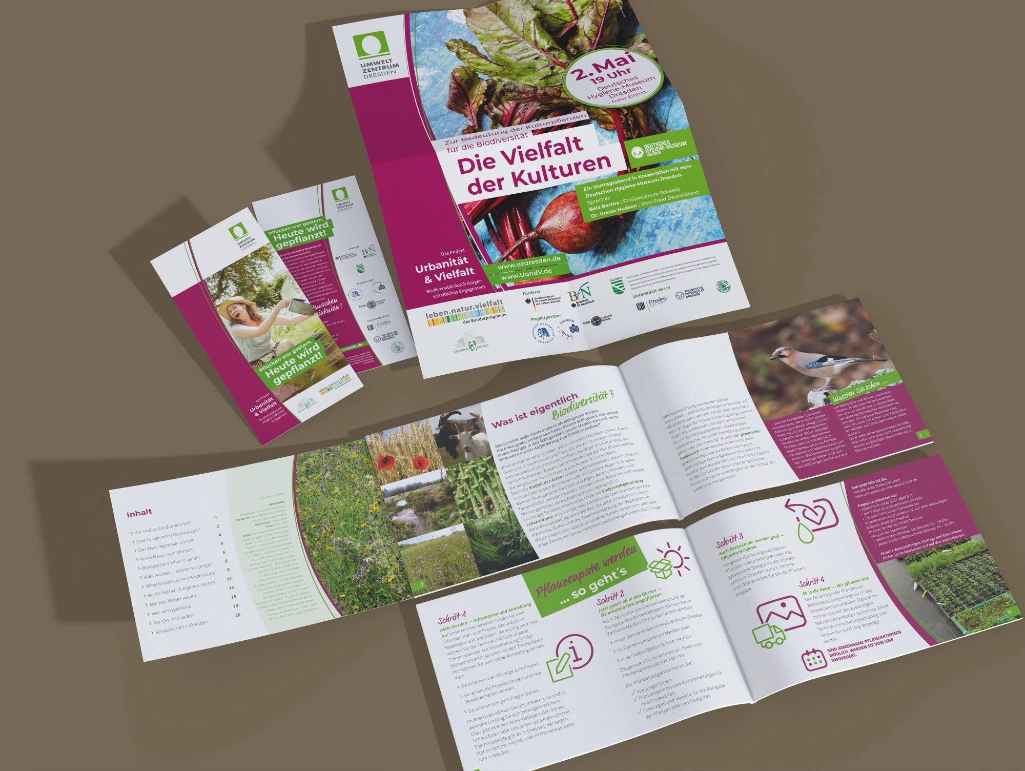 UZD-UundV_div Drucksachen Projekt Urbanität und Vielfalt